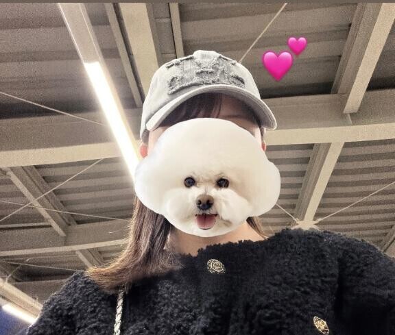 明日からいるよん??