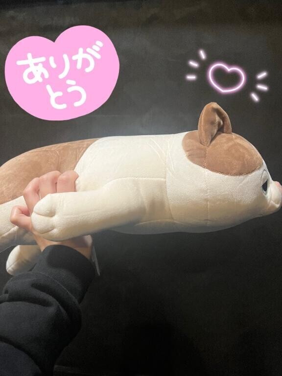 ありがとう???