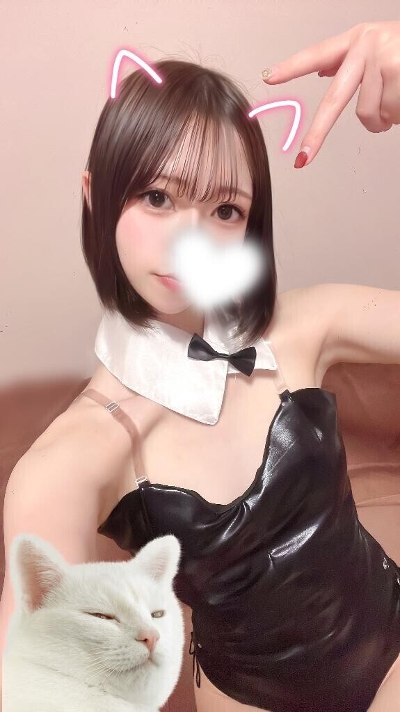 いるにゃん?