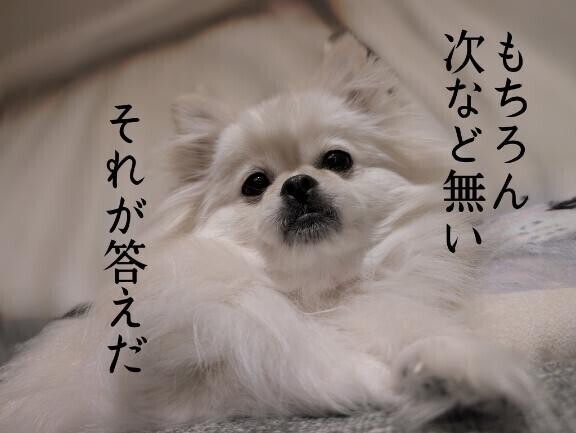 なぜわたしをえらんだのか？