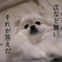 よる