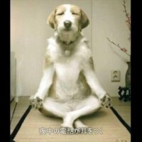 よる