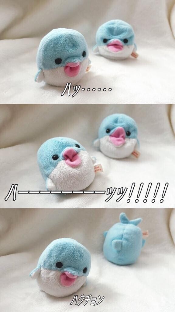 史上最高の体験を