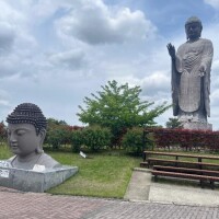 みほ