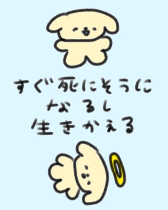 本日おやすみです?