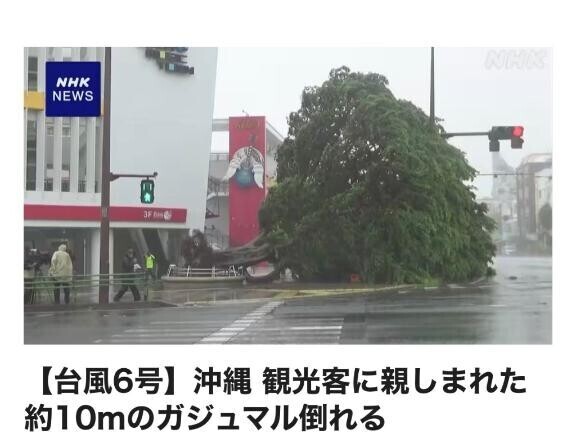 台風大丈夫ですか～?