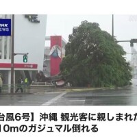 さり