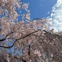 エッチなこと