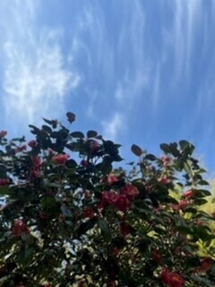 会えてよかった?