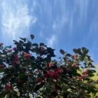 会えてよかった?