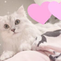 小海奥様
