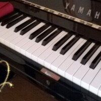 まだ余韻抜けず。。。