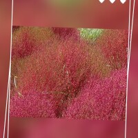 出勤しました😊