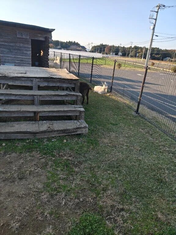 １週間ぶり(⁠*⁠˘⁠︶⁠˘⁠*⁠)⁠.⁠｡⁠*⁠♡