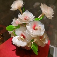 ﾍﾌﾞﾝからは最後かな😖