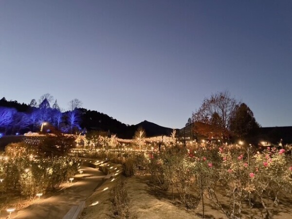 お月様とイルミネーション♡