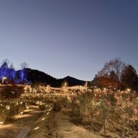 お月様とイルミネーション♡