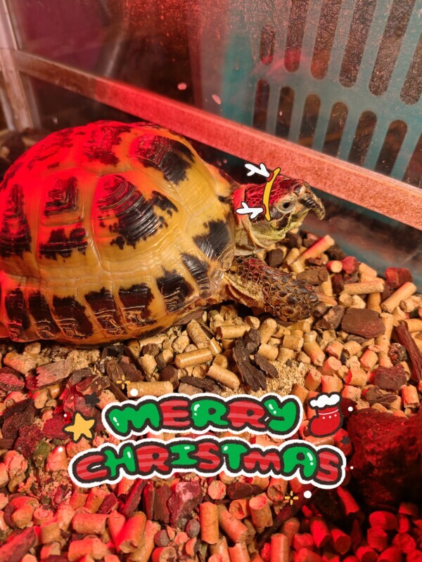 こんばんは(⁠*⁠﹏⁠*⁠;⁠)