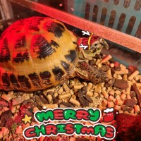 こんばんは(⁠*⁠﹏⁠*⁠;⁠)