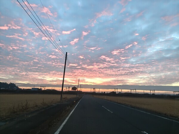 お疲れ様です_(_^_)_💚