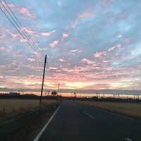 お疲れ様です_(_^_)_💚