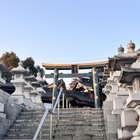 🎀次回の出勤🎀