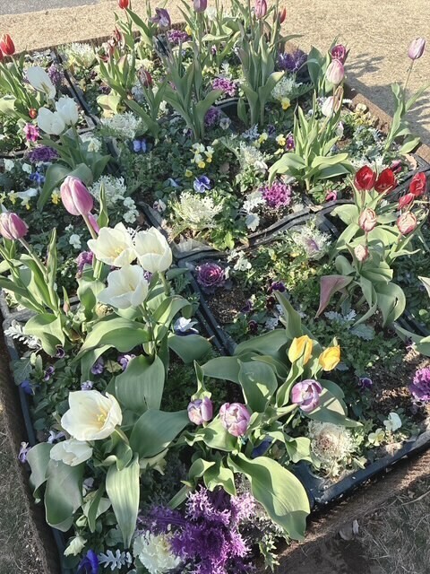 明日からもお願いします♡