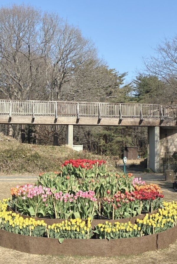 明日は風呂の日♡