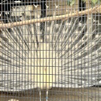 🎀お礼＆本日も出勤します🎀