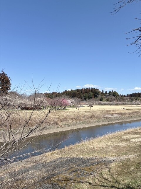 お散歩、らーめん♡