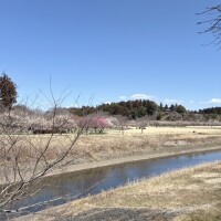 お散歩、らーめん♡