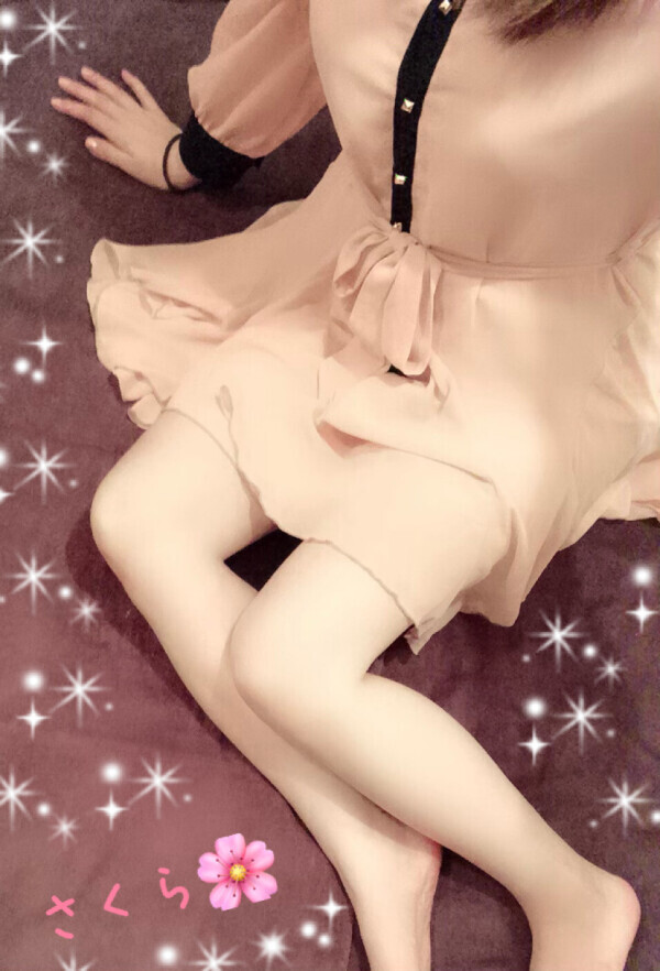 出勤してます🐶