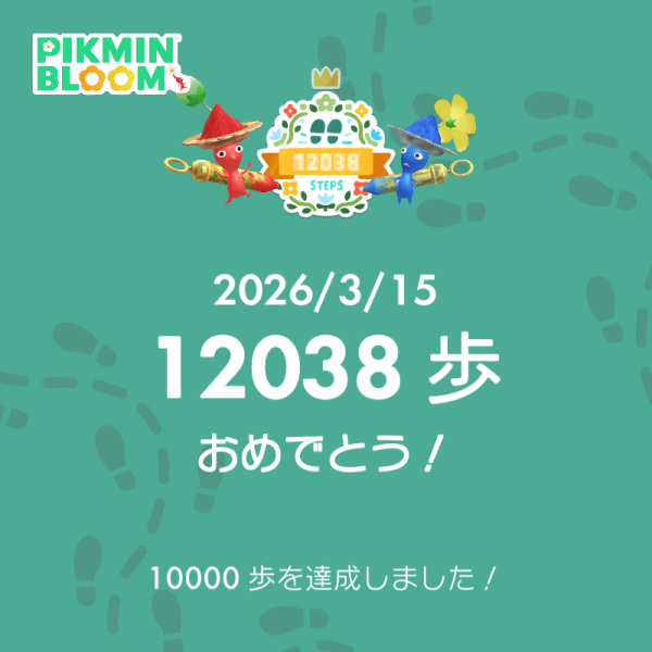 ウォーキング頑張りました‼️