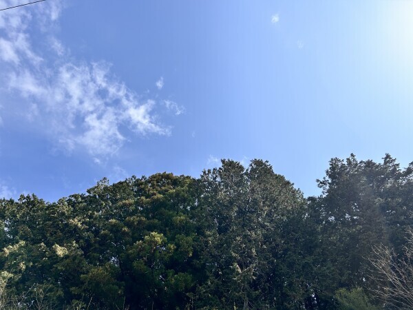 🎀土曜日、日曜日 出勤します🎀