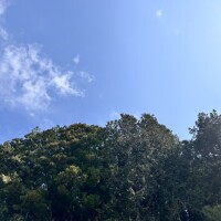 🎀土曜日、日曜日 出勤します🎀