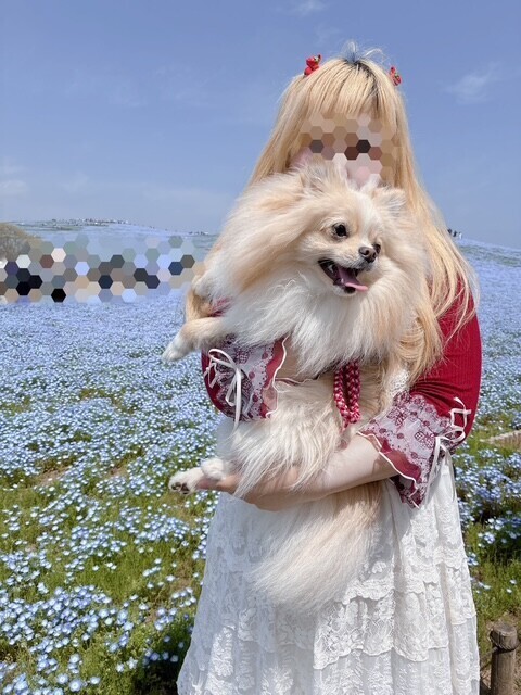 こんばんは♡