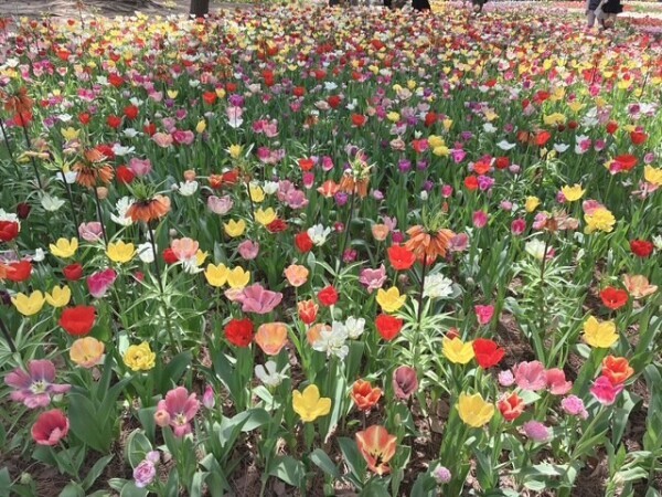 まったり〜♡