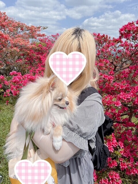 愛犬と♡