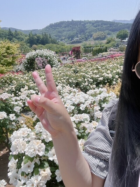 薔薇♡