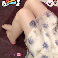 出勤してます🐱