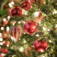 冬に食べたくなるもの