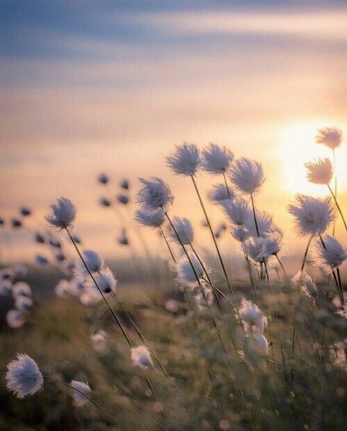 甘えたくなるとき...