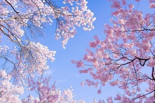 一緒に過ごしたいな...?