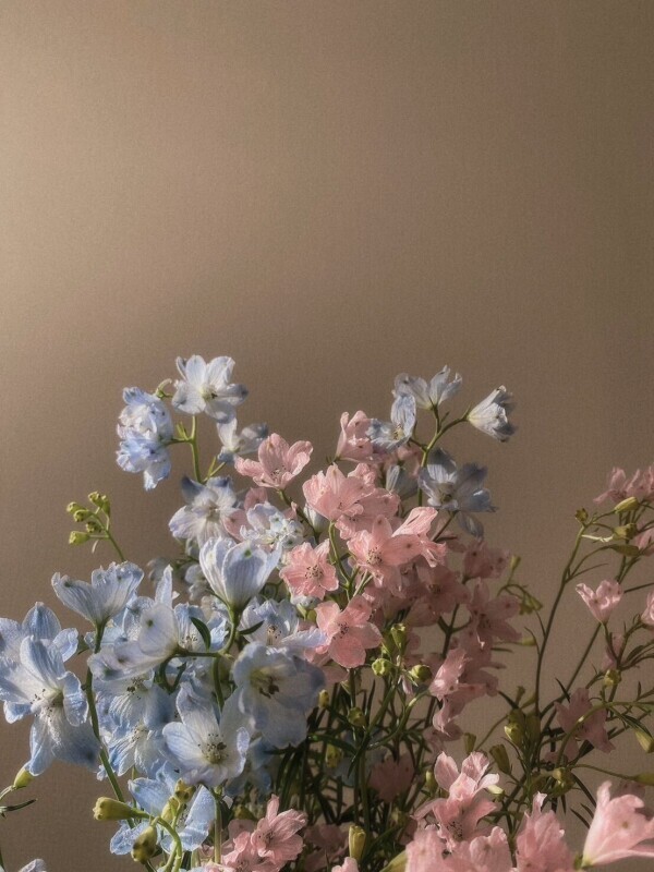 ふわっと包んで？