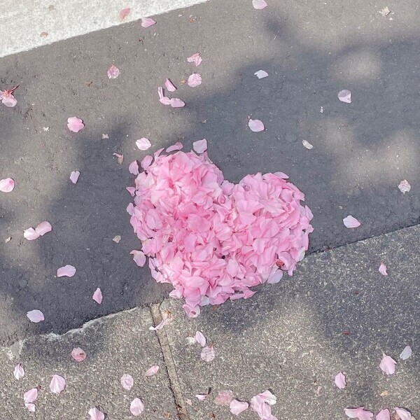 今夜は甘えたい気分