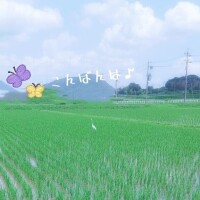こんばんは?