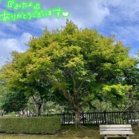 くみこ