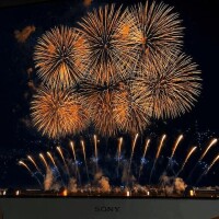 やっぱり本物は違う?
