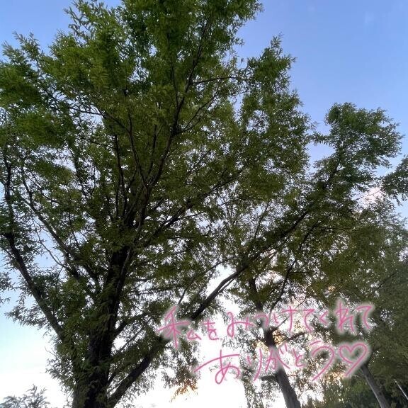 夏のBGM♪