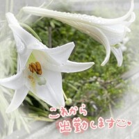 ただいま?